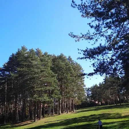 Sloboda アパート *