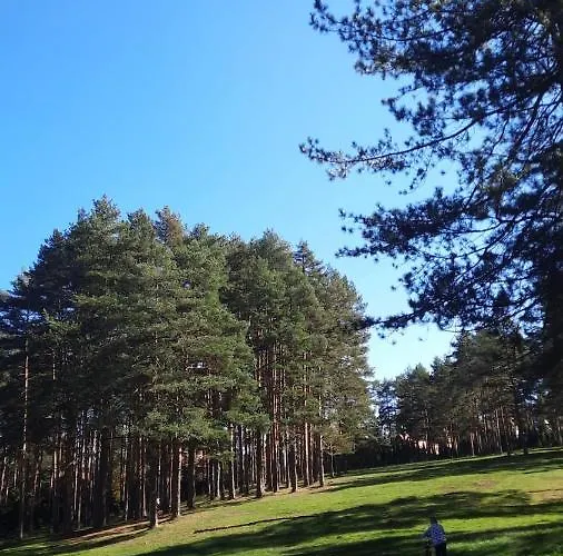 Sloboda Apartament *